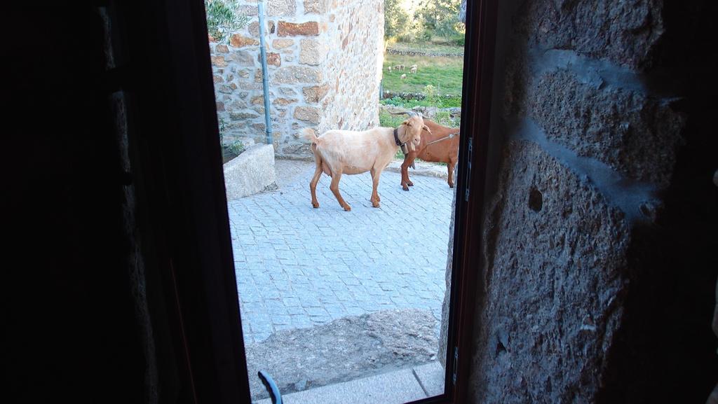 Aldeia Do Codecal Guest House Codecal  Room photo